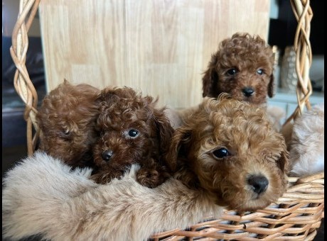 whatsapp image 2025-12-22 at 19.02.13 _2_.jpeg